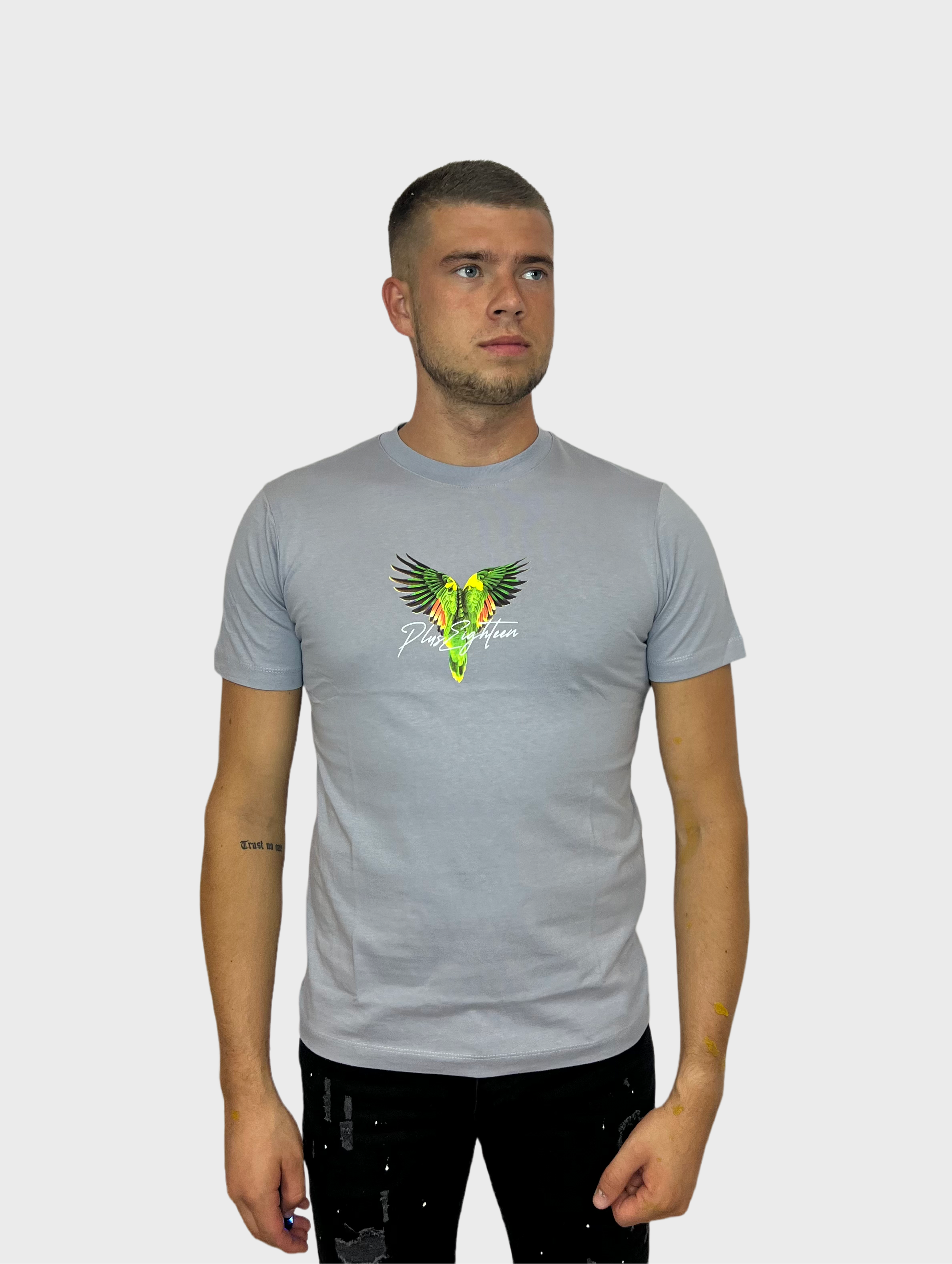 Wings T-Shirt - Grijs