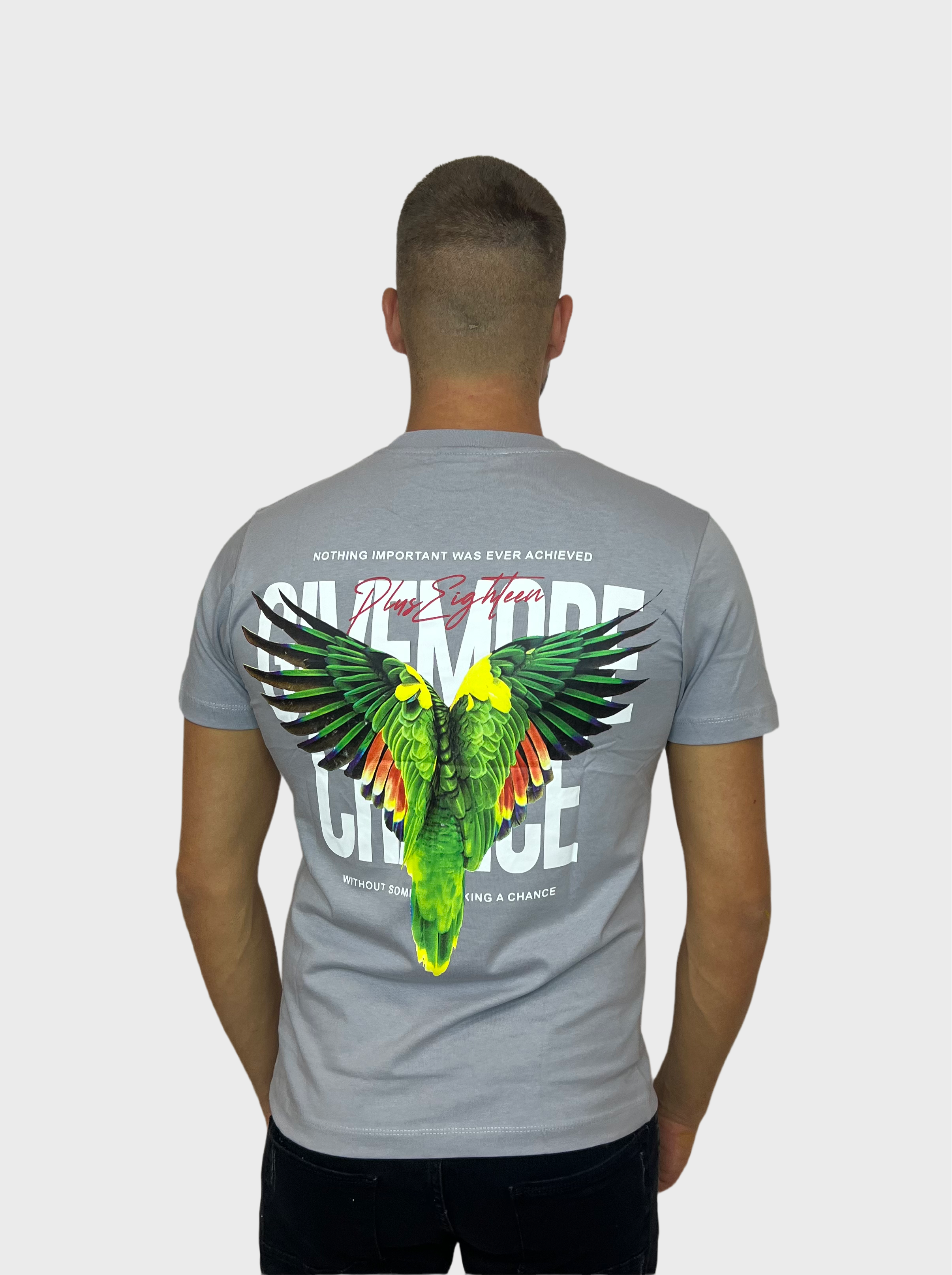 Wings T-Shirt - Grijs