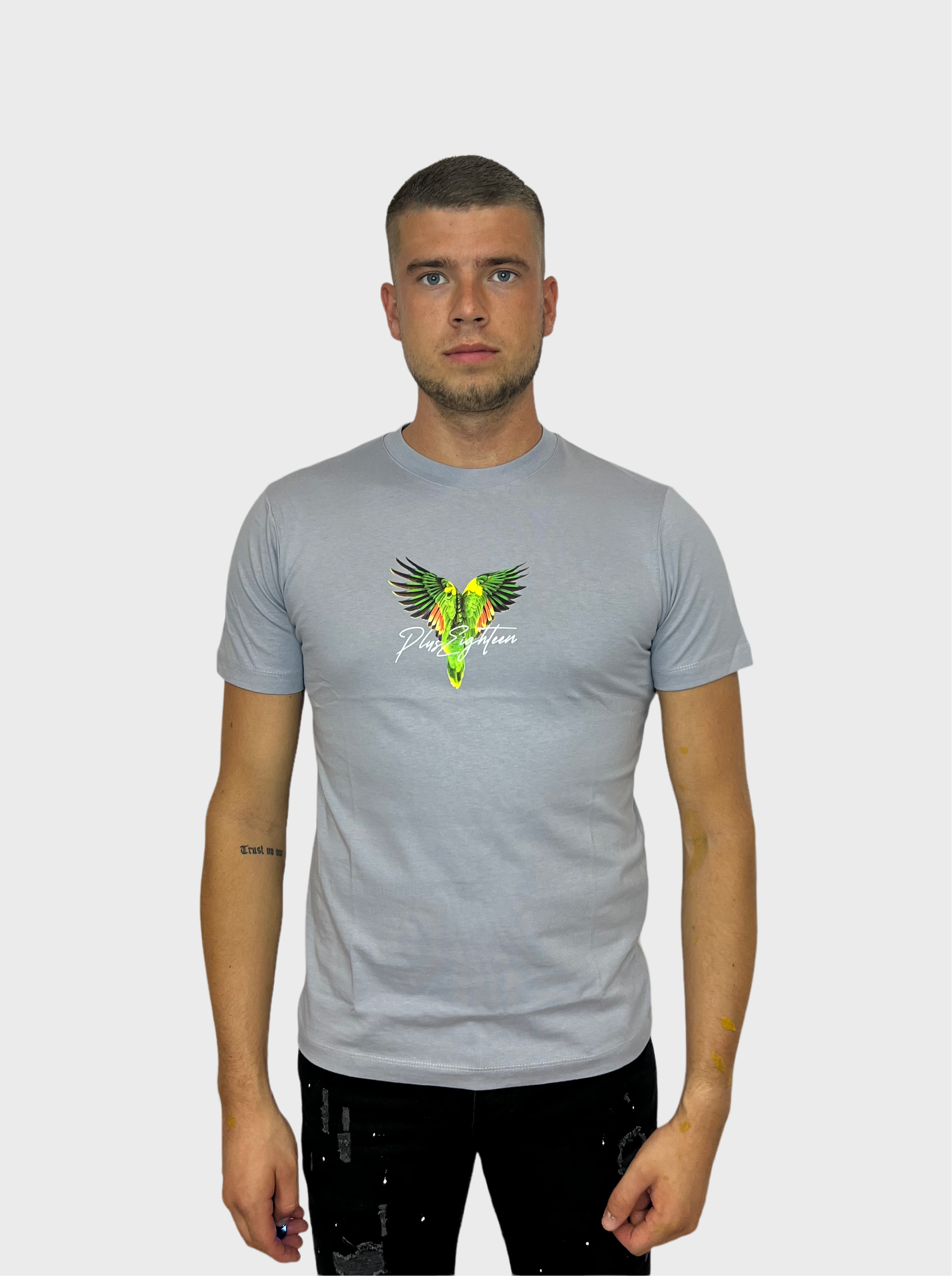 Wings T-Shirt - Grijs